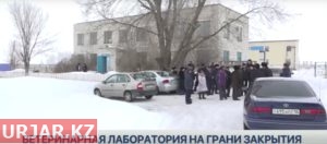 Ветеринарная лаборатория в селе Маканчи оказалась на грани закрытия
