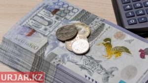 Несиелер бойынша сұрақтарға жауаптар