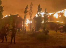 На Алаколе произошел пожар, сгорело четыре базы отдыха